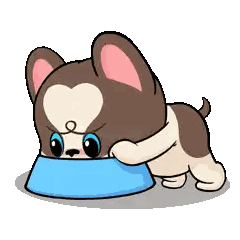 Dog Eating from Blue Bowl