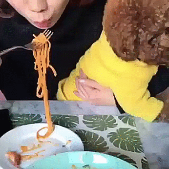 Dog Eating Spaghetti GIF
