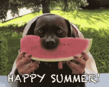 Dog Eating Watermelon Happy Summer