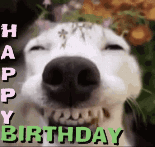 Dog Face Happy Birthday in Green