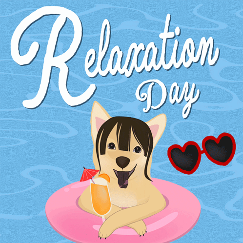 Dog Floating On Pink Float With Drink Relaxation Day GIF