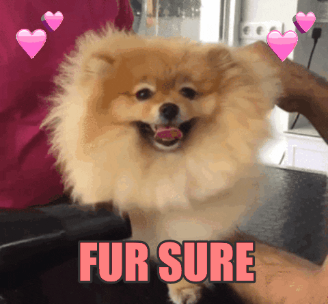 Dog Fur For Sure GIF