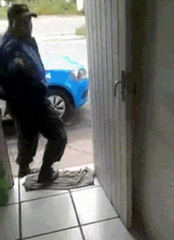 Dog Gets Patted Hands Up GIF