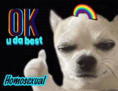 Dog Giving Thumbs Up Ok U Da Best