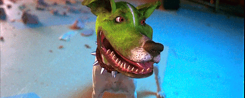 Dog Got Crazy In The Mask GIF