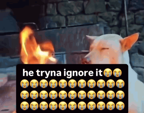 Dog He Tryna Ignore It