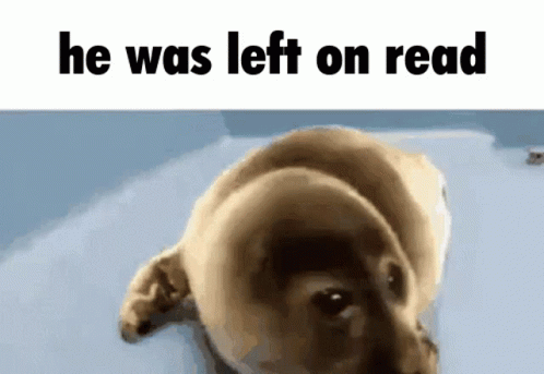 Dog He Was Left On Read GIF