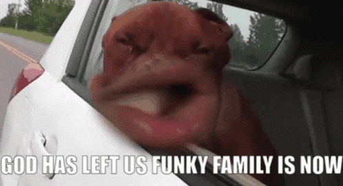 Dog Head Out Car Window God Left Us Funky Family Now GIF