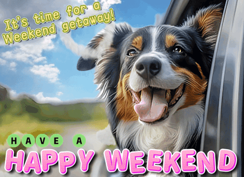 Dog Head Out Car Window Saying It's Time For A Weekend Getaway GIF