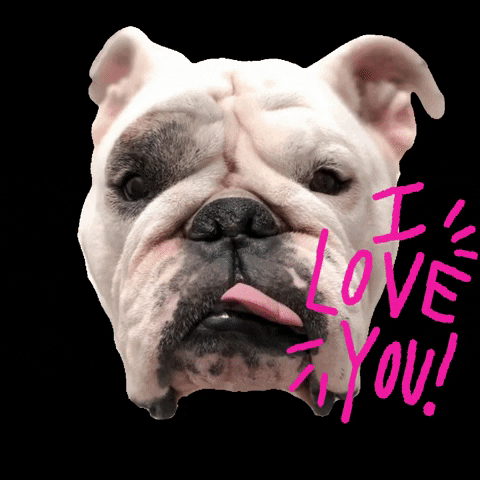 Dog Head Sticking Tongue Out I Love You GIF