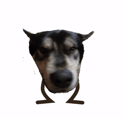 Dog Head With Drawn Legs