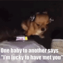 Dog Headphones Laying Says One Baby To Another