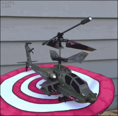Dog Helicopter Landing Pad GIF