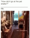 Dog Hoarders House GIF