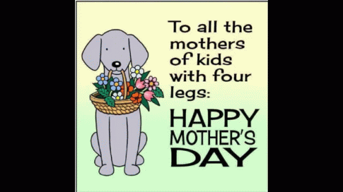 Dog Holding Basket of Flowers Happy Mother's Day