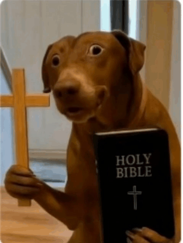 Dog Holding Bible and Cross