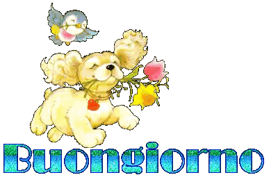 Dog Holding Bouquet with Buongiorno