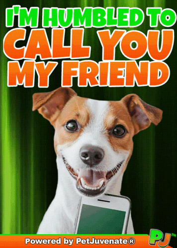 Dog Holding Cell Phone I'm Humbled to Call You My Friend