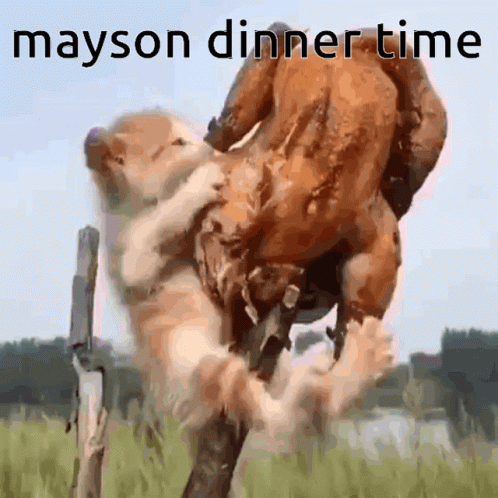 Dog Holding Chicken Saying Mayson Dinner Time