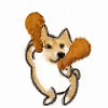 Dog Holding Chicken Wing GIF