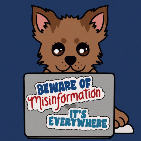 Dog Holding Laptop Saying Beware of Misinformation