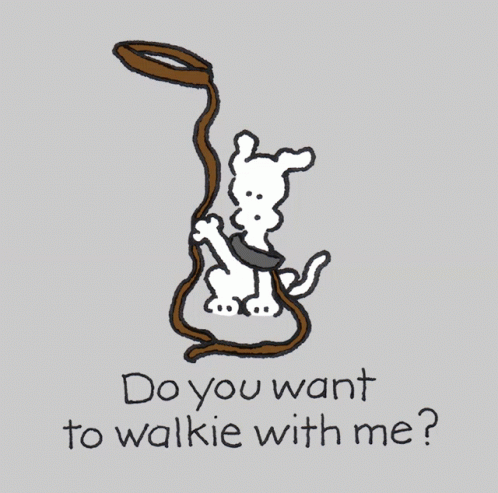 Dog Holding Leash Asking Do You Want Walkie GIF