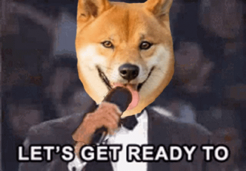 Dog Holding Microphone Saying Let's Get Ready To GIF