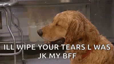 Dog Holding Napkin Saying I'll Wipe Your Tears GIF