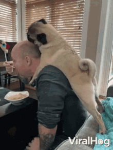 Dog Hug And Licking Head GIF