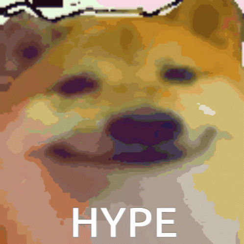Dog Hype GIF