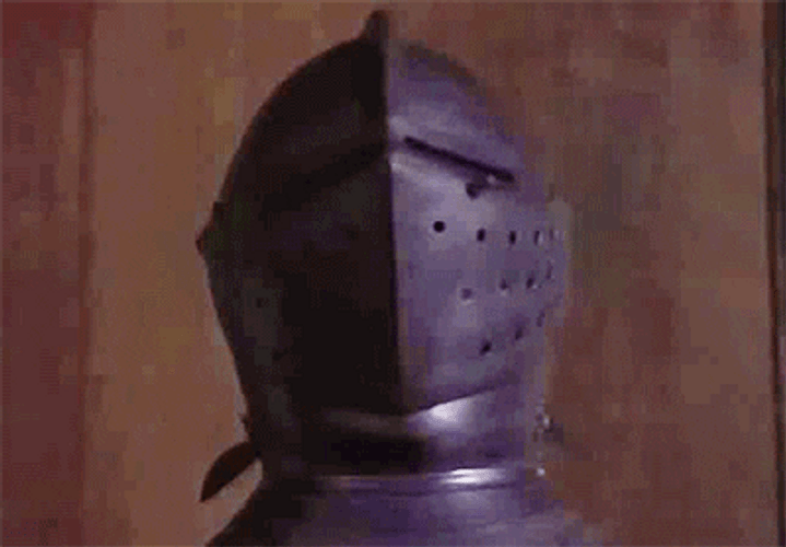 Dog In A Knight Costume GIF