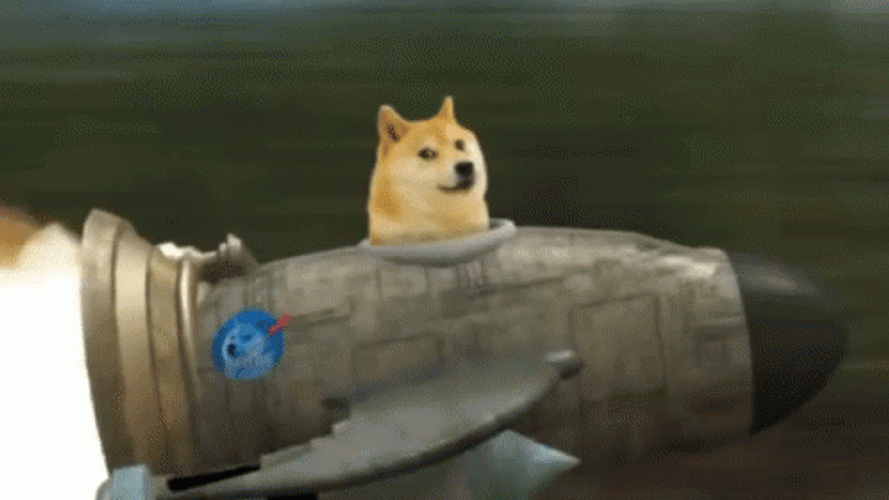 Dog In A Rocket Launch GIF