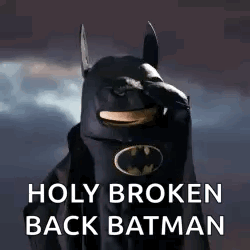 Dog in Batman Costume Holy Broken Back Batman