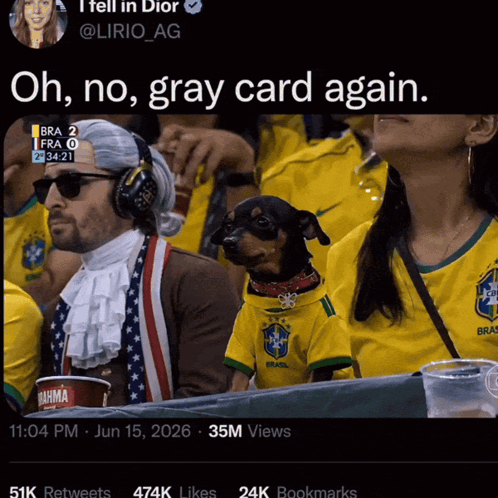 Dog in Brazil Shirt Next to Man in Wig