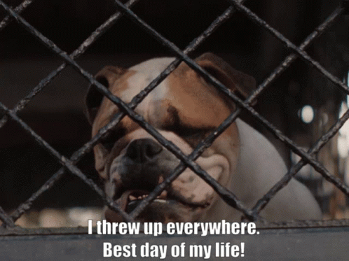 Dog In Cage Saying I Threw Up Everywhere Best Day Of My Life GIF