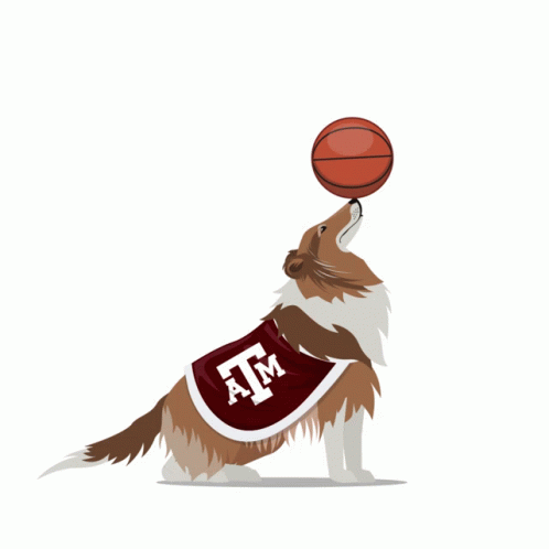 Dog in Cape Saying ATM Balancing Basketball on Nose