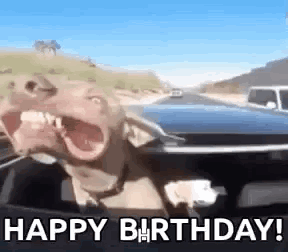Dog in Car Saying Happy Birthday