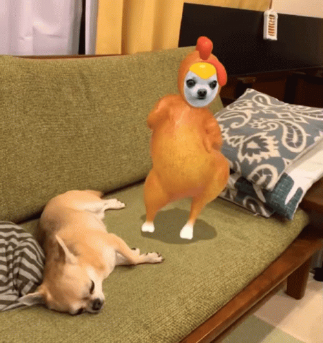 Dog In Chicken Costume Lying On Couch GIF