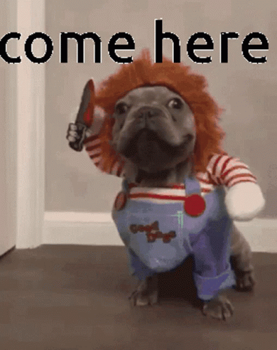 Dog In Chucky Costume Holding Knife Says Come Here GIF