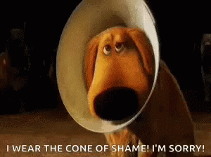Dog In Cone Of Shame Saying I'm Sorry GIF