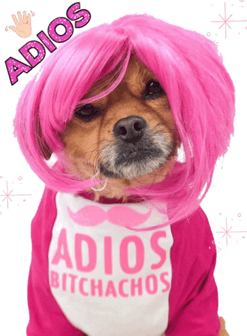 Dog In Costume Mushu GIF