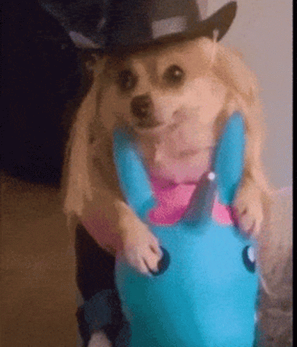Dog in Cowboy Hat Riding Blue Unicorn Toy