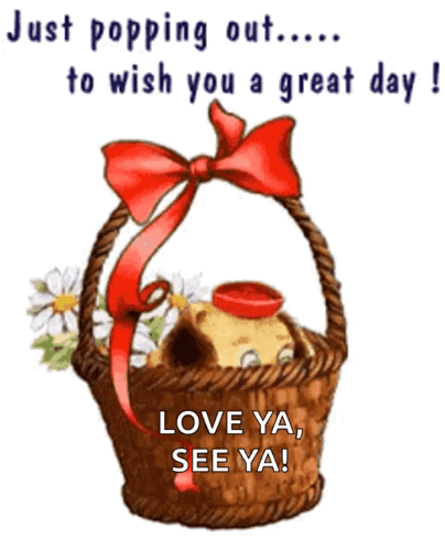 Dog in Flower Basket Saying Just Popping Out