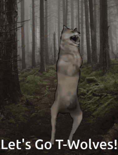 Dog in Forest Saying Lets Go T-Wolves