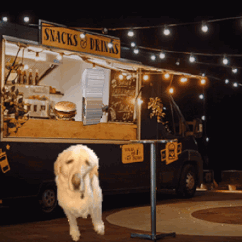 Dog In Front Of Snacks And Drinks Food Truck GIF