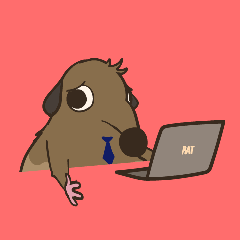 Dog in Headphones and Hat Laptop Says Pat