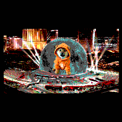 Dog in Hoodie With Letter D Before City