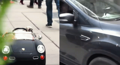 Dog In Kid Car Almost Crash GIF