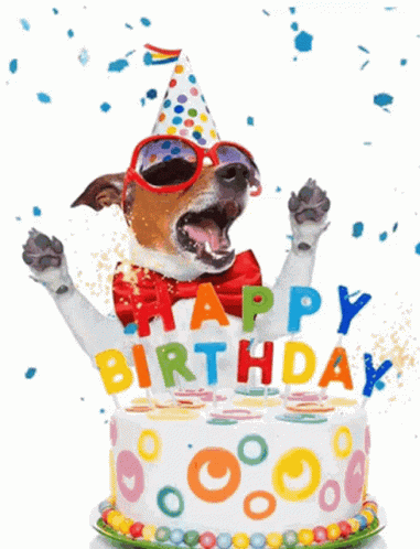 Dog in Party Hat and Sunglasses Saying Happy Birthday