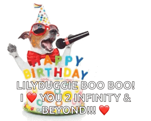 Dog in Party Hat and Sunglasses Singing Happy Birthday Lilybuggie Boo Boo